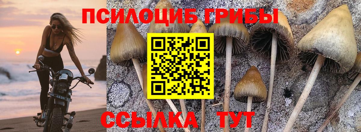 Псилоцибиновые грибы ЛСД  Вход с VPN  Кизилюрт  Псилоцибиновые грибы мицелий 